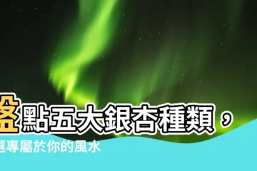 【銀杏種類】盤點五大銀杏種類，挑選專屬於你的風水盆栽！
