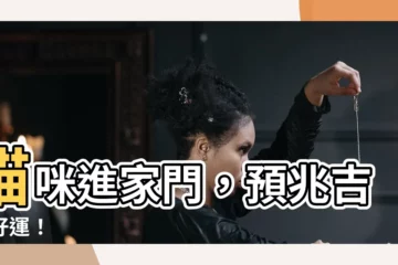 【貓進家好不好】貓咪進家門，預兆吉祥好運！
