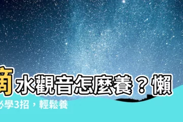 【滴水觀音怎麼養】滴水觀音怎麼養？懶人必學3招，輕鬆養出水靈觀音！