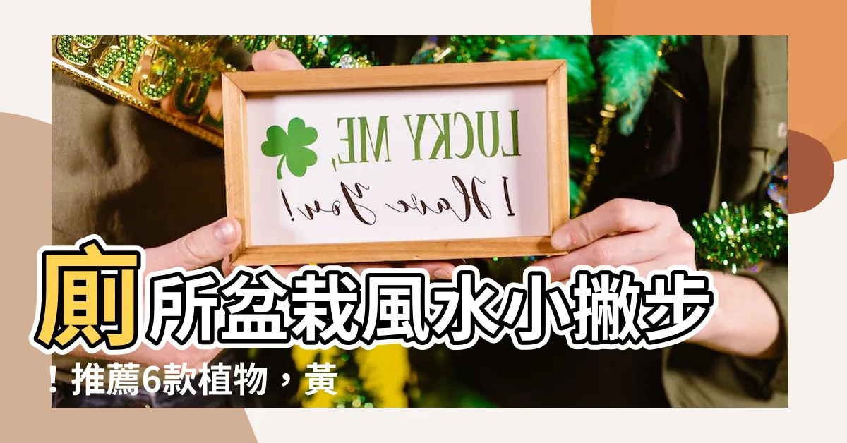 【廁所盆栽風水】廁所盆栽風水小撇步！推薦6款植物，黃金葛竟然能化解官司紛爭