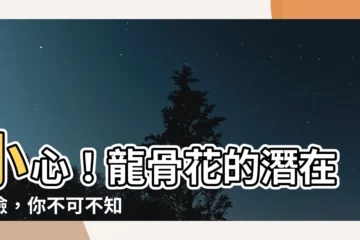【龍骨花】小心！龍骨花的潛在危險，你不可不知