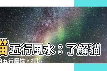 【貓 五行】貓五行風水：瞭解貓咪的五行屬性，打造貓咪好運