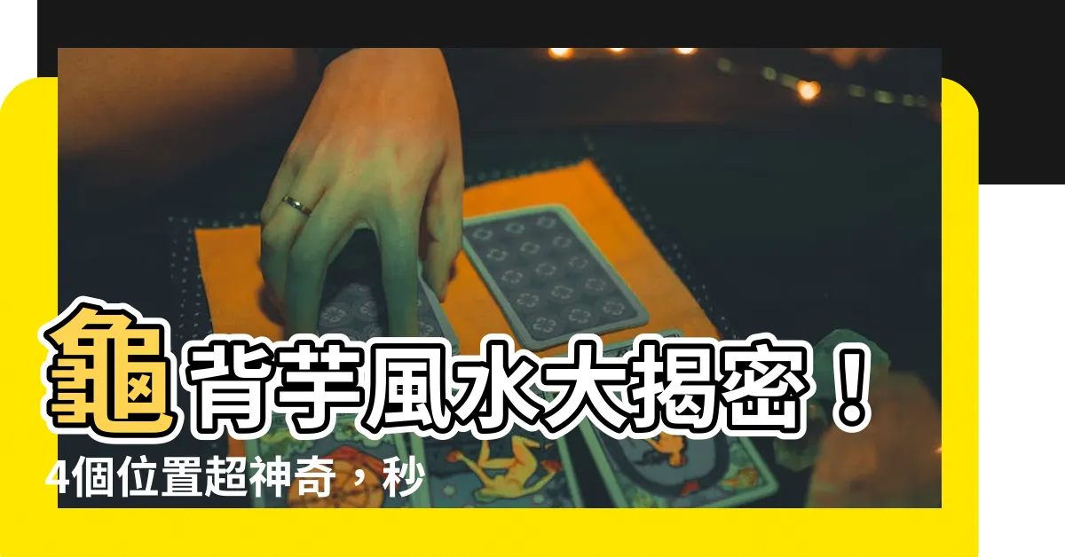 【龜背芋風水】龜背芋風水大揭密！4個位置超神奇，秒殺負能量，財運狂飆！