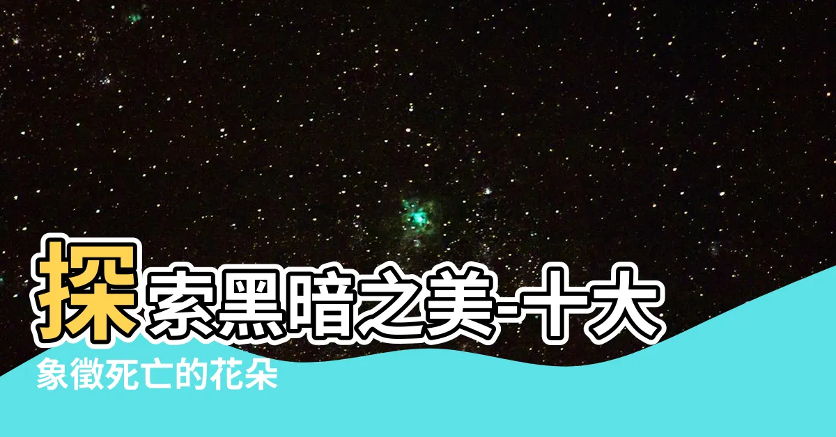 【代表死亡的花】探索黑暗之美-十大象徵死亡的花朵