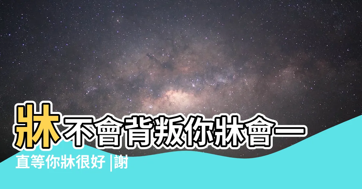 【牀不會背叛你】牀不會背叛你牀會一直等你牀很好 |謝謝牀牀 |動物梗圖星球 |