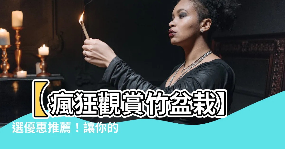 【觀賞竹盆栽】【瘋狂觀賞竹盆栽】選優惠推薦！讓你的室內綠意升級！