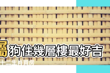 【屬狗2017年住幾樓好】屬狗住幾層樓最好吉利 |十二生肖買房住幾層樓好 |2017年屬狗人買房風水講究 |