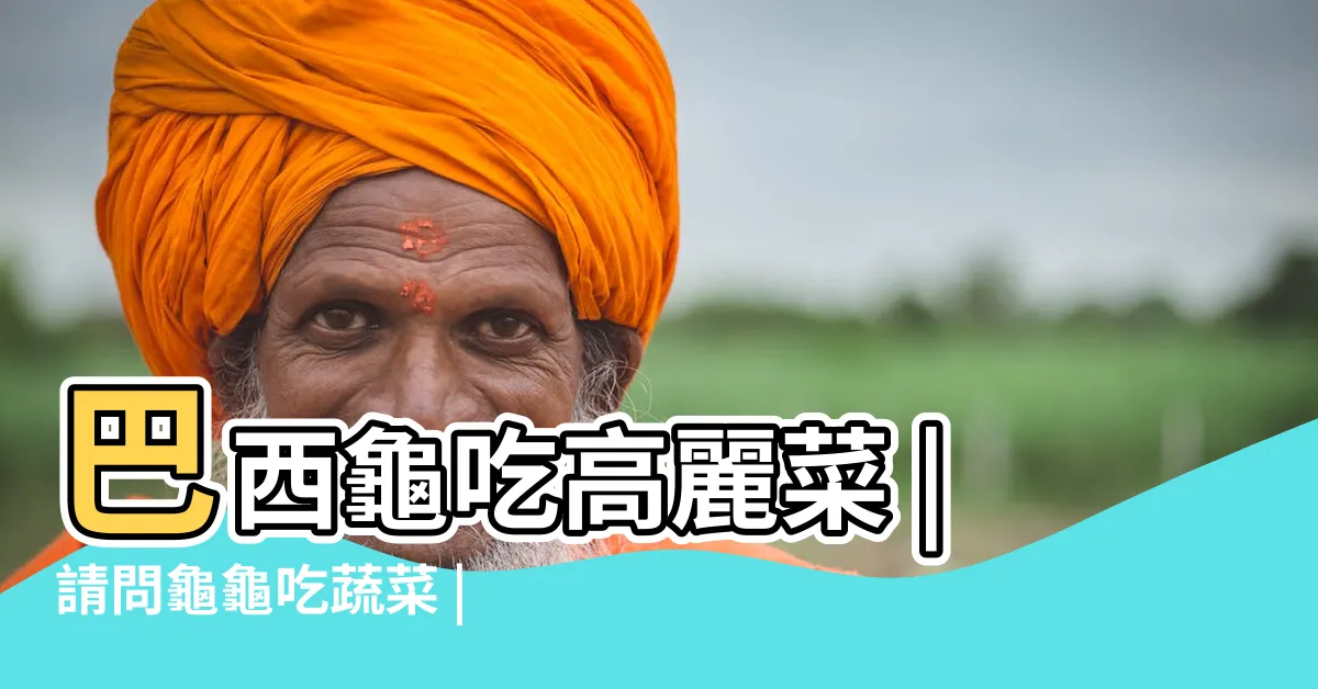 【巴西龜可以吃高麗菜嗎】巴西龜吃高麗菜 |請問龜龜吃蔬菜 |2019 |
