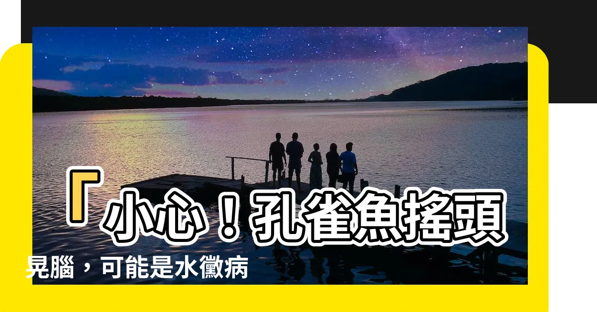 【孔雀魚搖頭晃腦】「小心！孔雀魚搖頭晃腦，可能是水黴病感染！」