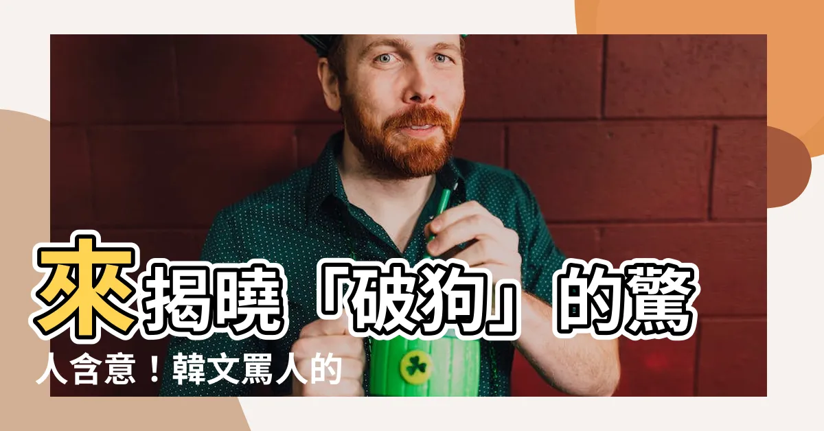 【破狗意思】來揭曉「破狗」的驚人含意！韓文罵人的秘密一次告訴你！