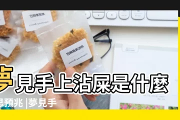 【周公解夢 夢見手上沾屎】夢見手上沾屎是什麼意思預兆 |夢見手上沾大便 |周公解夢 |