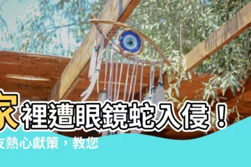 【家裡出現眼鏡蛇】家裡遭眼鏡蛇入侵！網友熱心獻策，教您化險為夷