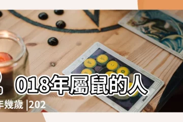 【老鼠年紀 2018】2018年屬鼠的人今年幾歲 |2024今年生肖 |十二生肖年份 |