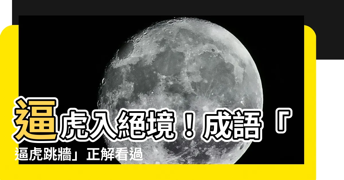 【逼虎】逼虎入絕境！成語「逼虎跳牆」正解看過來！