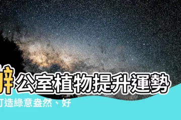 【辦公室植物】辦公室植物提升運勢！打造綠意盎然、好運連連的工作環境