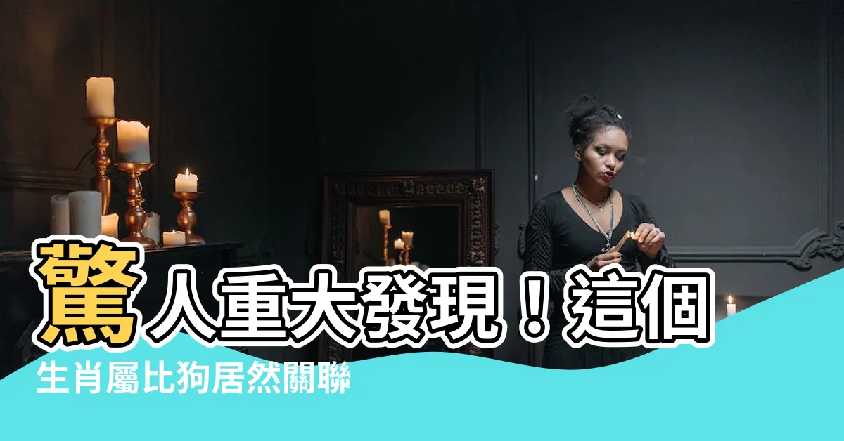 【屬比狗】驚人重大發現！這個生肖屬比狗居然關聯到史酷比和鬣狗科？！