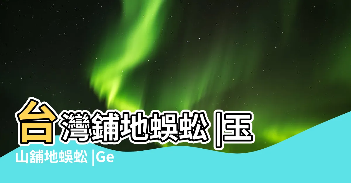 【台灣地蜈蚣】台灣鋪地蜈蚣 |玉山舖地蜈蚣 |Geophilomorpha |