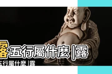 【露的五行屬什麼】露五行屬什麼 |露字五行屬什麼 |露的意思 |