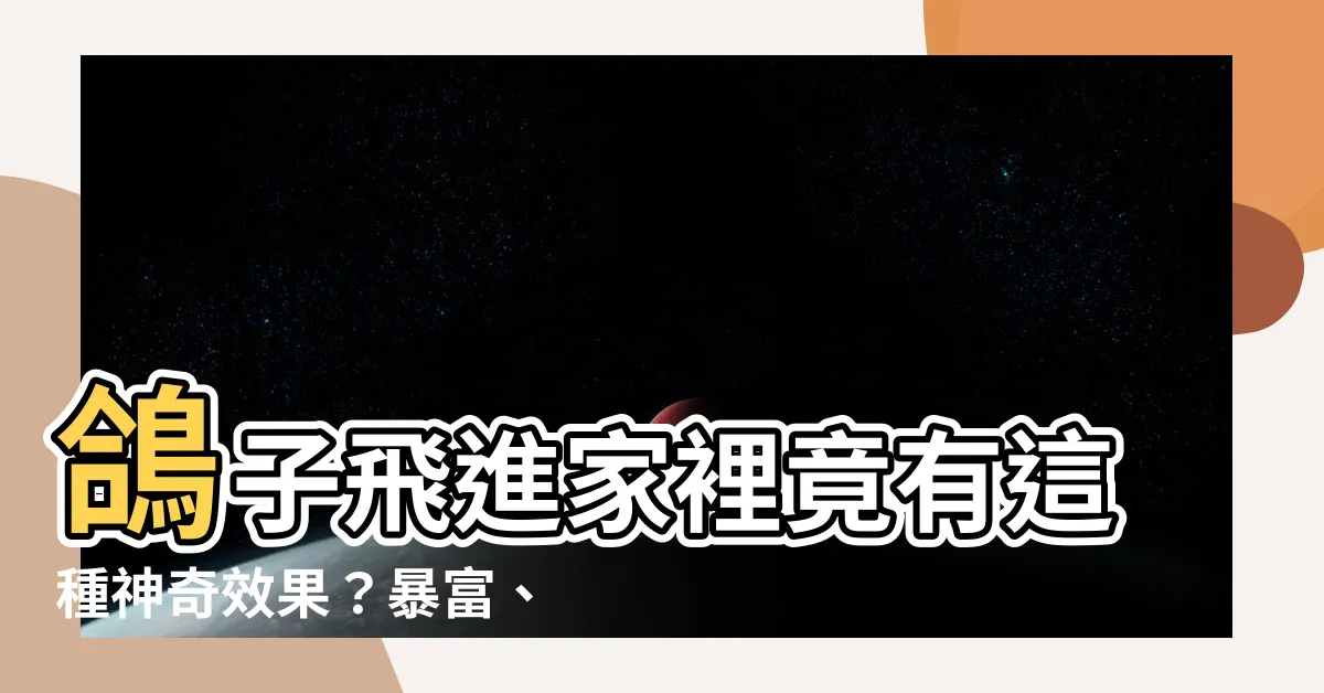【鴿子飛進家裡代表什麼】鴿子飛進家裡竟有這種神奇效果？暴富、幸福全憑它！