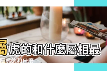 【五月的虎宜配什麼屬相】屬虎的和什麼屬相最配 |屬虎的和什麼屬相最配 |屬虎人的屬相婚配表 |