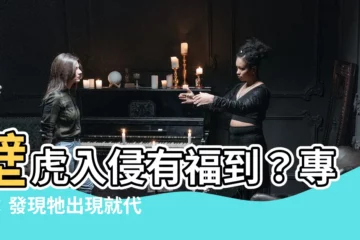 【房間有壁虎是好事嗎】壁虎入侵有福到？專家：發現牠出現就代表「這件事」發生了！