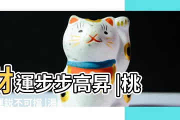 【屬虎人今年的流年運程】財運步步高昇 |桃花運鋭不可擋 |湯鎮瑋2023 |