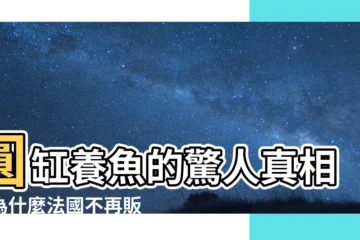 【圓缸養魚】圓缸養魚的驚人真相：為什麼法國不再販售？