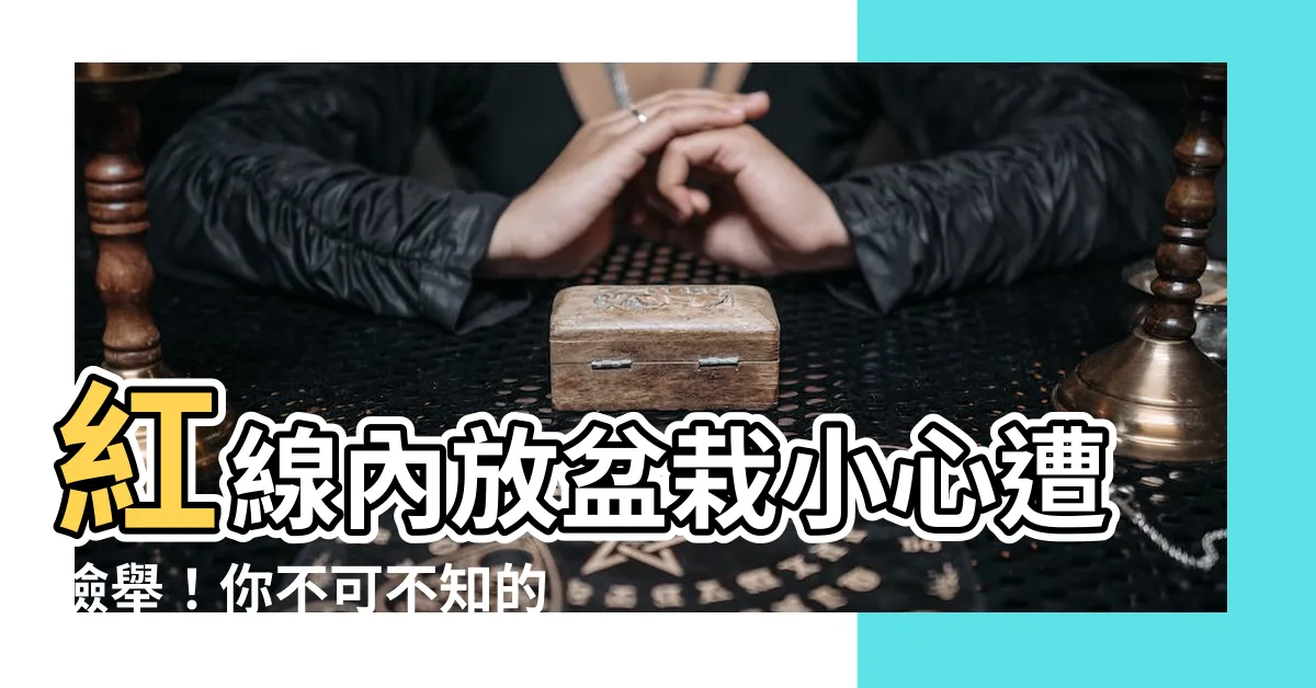 【紅線內放盆栽】紅線內放盆栽小心遭檢舉！你不可不知的關鍵法規