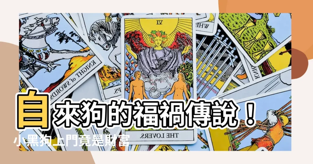 【自來狗】自來狗的福禍傳説！小黑狗上門竟是財富徵兆？