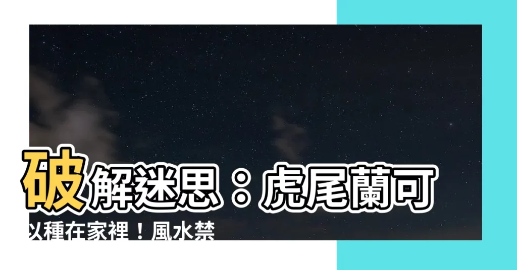 【虎斑蘭可以種家裏】破解迷思：虎尾蘭可以種在家裡！風水禁忌不是真的！