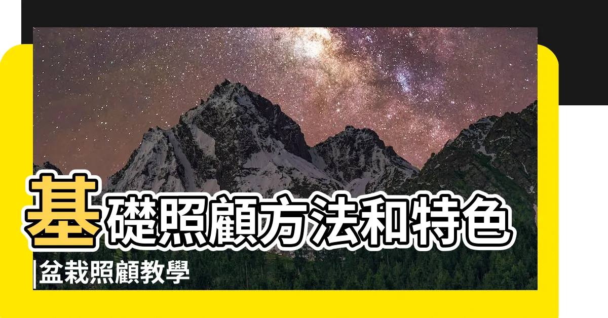 【波士頓腎蕨室內】基礎照顧方法和特色 |盆栽照顧教學 |波士頓腎蕨日常養護照顧方法 |