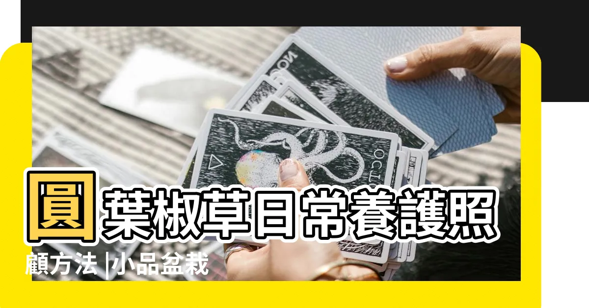 【圓葉椒草 金錢樹】圓葉椒草日常養護照顧方法 |小品盆栽線上購物網站 |圓葉椒草 |