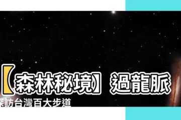 【過龍脈】【森林秘境】過龍脈，探訪台灣百大步道絕美風光