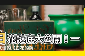 【白花 意思】白花謎底大公開！一聽就懂的【白花的解釋】
