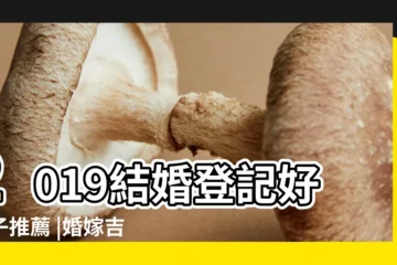 【2019年10月14結婚吉日】2019結婚登記好日子推薦 |婚嫁吉日完整版 |結婚登記好日子大公開 |