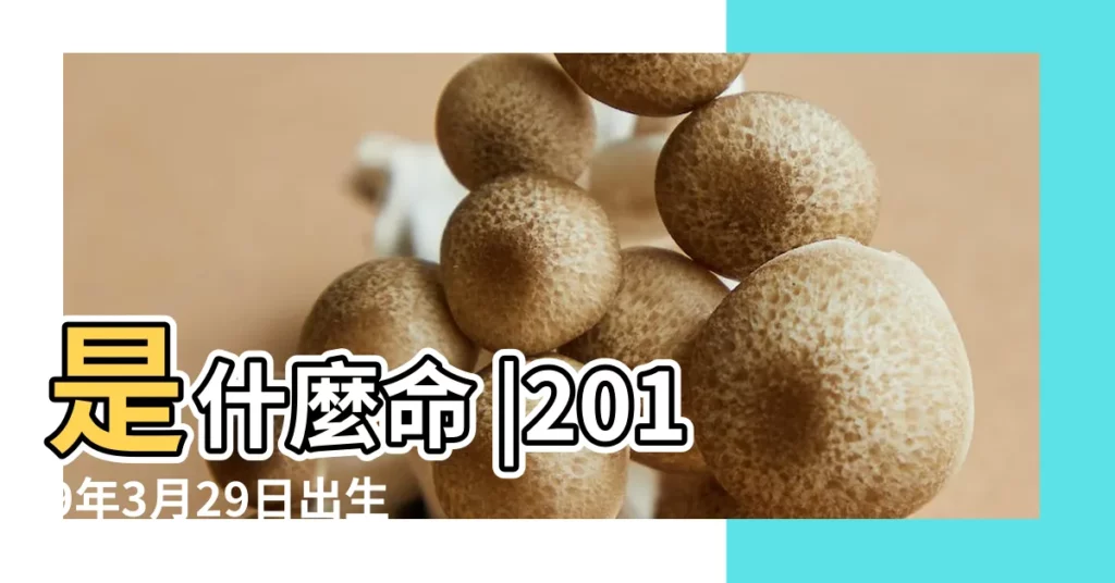 是什麼命 |2019年3月29日出生時間看命運 |2019年3月29日出生日期看命運 |【2019年3月29日子時出生】
