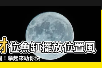 【財位魚缸擺放位置風水圖】財位魚缸擺放位置風水圖！學起來助你快旺財又旺運