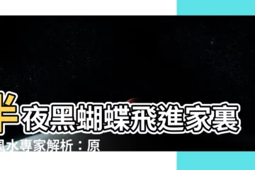 【黑蝴蝶 風水】半夜黑蝴蝶飛進家裏？風水專家解析：原來是這樣！