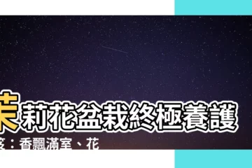 【茉莉花盆栽照顧】茉莉花盆栽終極養護秘笈：香飄滿室、花開爆盆！