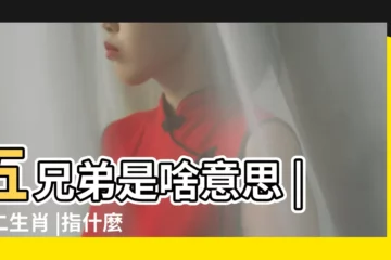 【五個的意思是什麼意思是什麼意思是什麼生肖】五兄弟是啥意思 |十二生肖 |指什麼生肖 |