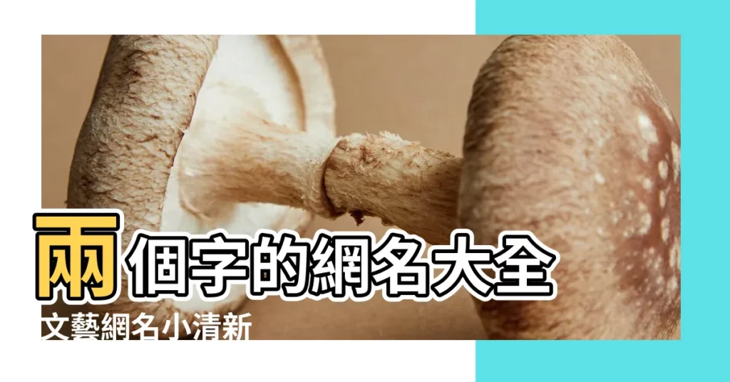 兩個字的網名大全 |文藝網名小清新 |兩字網名 |【繁體字文藝小清新網名兩個字】