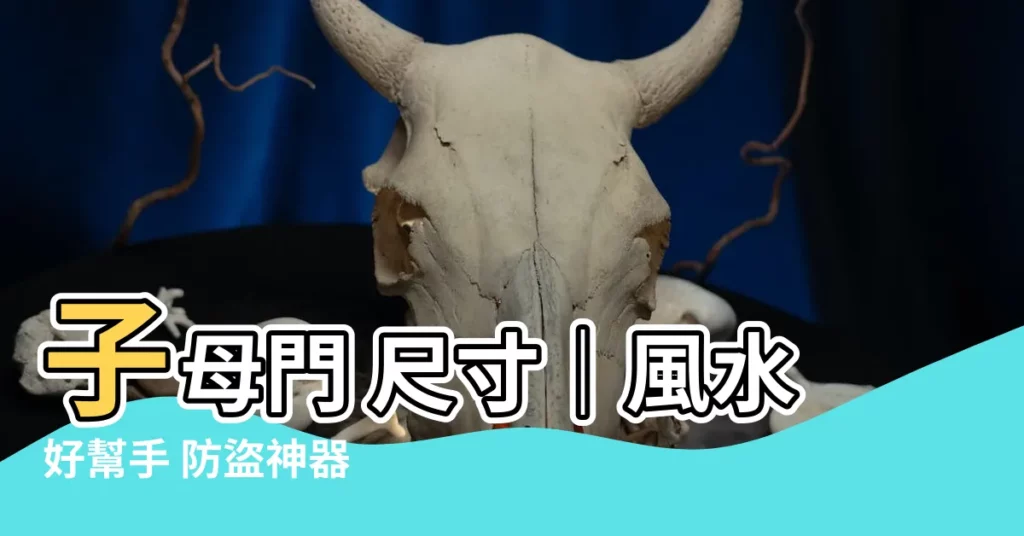 【子母門 尺寸】子母門 尺寸｜風水好幫手 防盜神器 尺寸解析