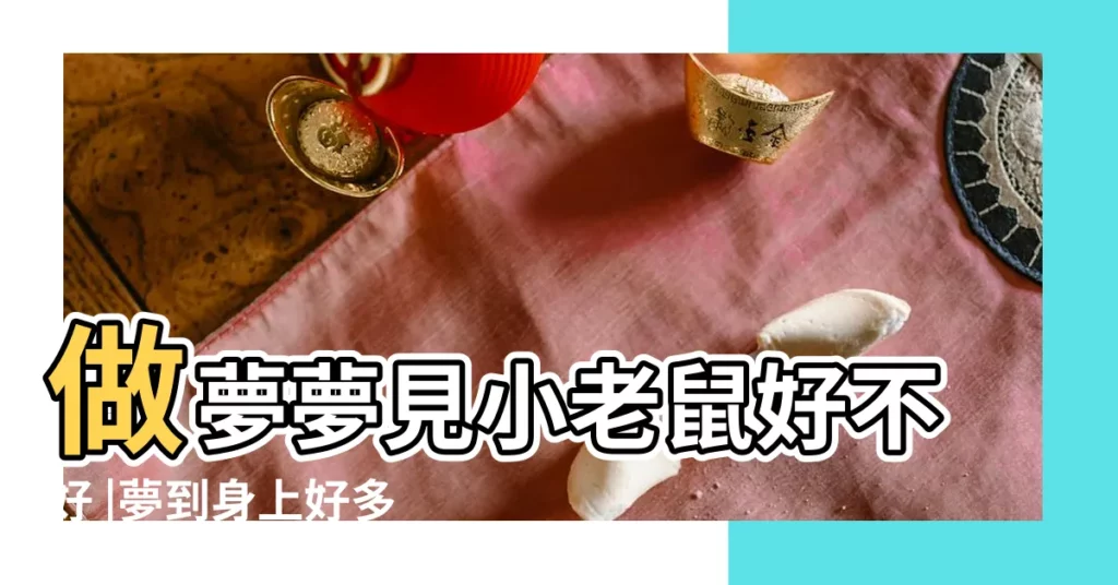 做夢夢見小老鼠好不好 |夢到身上好多小老鼠 |夢見好多老鼠在我身上 |【夢見身上很多小老鼠】