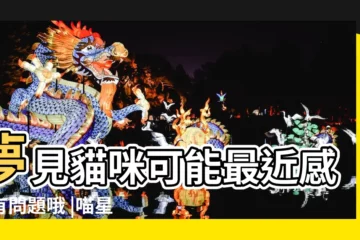 【夢到漂亮的貓想我走來】夢見貓咪可能最近感情有問題哦 |喵星人來解夢夢到貓咪代表什麼意思 |做夢夢見貓好不好 |