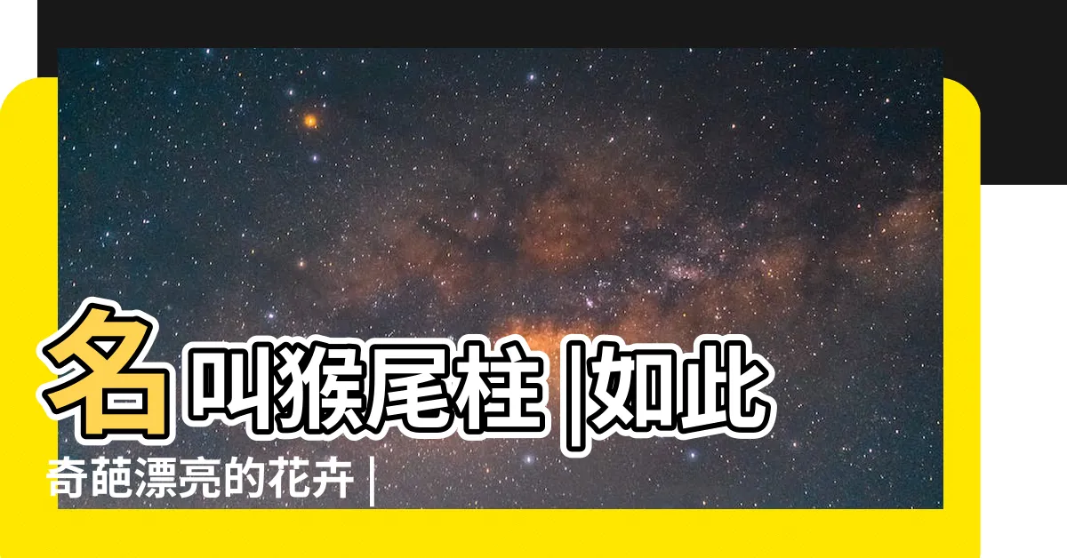 【猴尾柱風水】名叫猴尾柱 |如此奇葩漂亮的花卉 |放在陽台能長到兩米 |