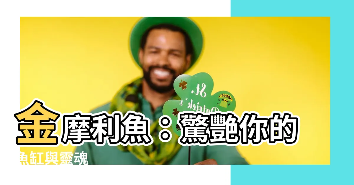 【金摩利魚】金摩利魚：驚艷你的魚缸與靈魂