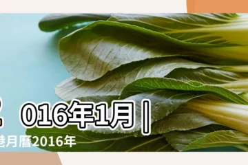 【2016年1月1日】2016年1月 |香港月曆2016年1月 |2016年公眾假期 |