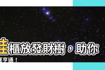 【鞋櫃上放發財樹】鞋櫃放發財樹，助你財運亨通！