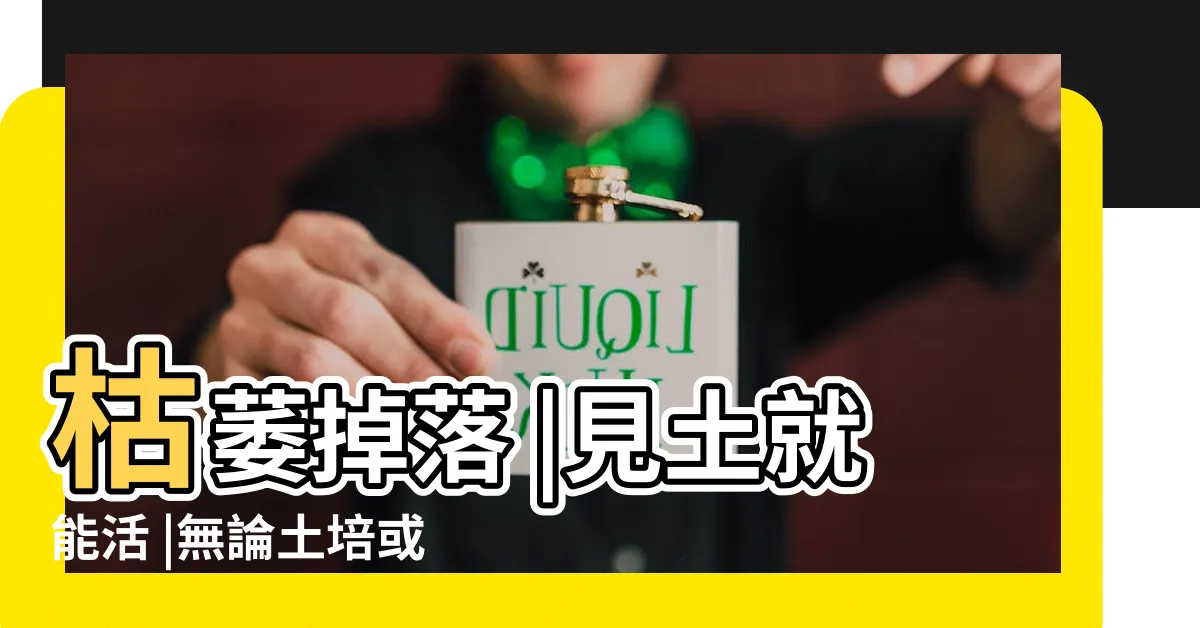 【福祿桐為什麼會開花】枯萎掉落 |見土就能活 |無論土培或水培都能保證成活率 |