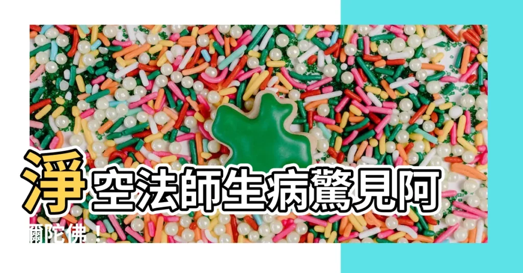【淨空法師生病】淨空法師生病驚見阿彌陀佛！